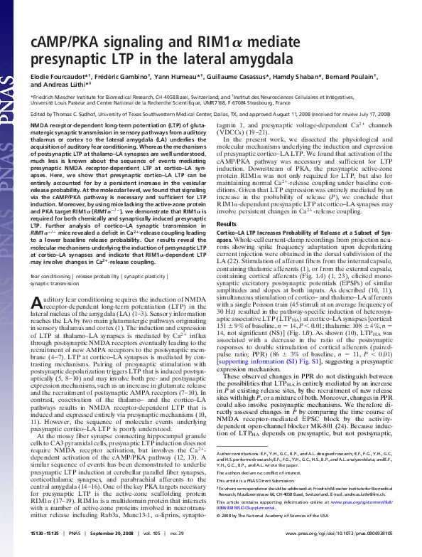 (PDF) cAMP/PKA signaling and RIM1α mediate presynaptic LTP in the ...