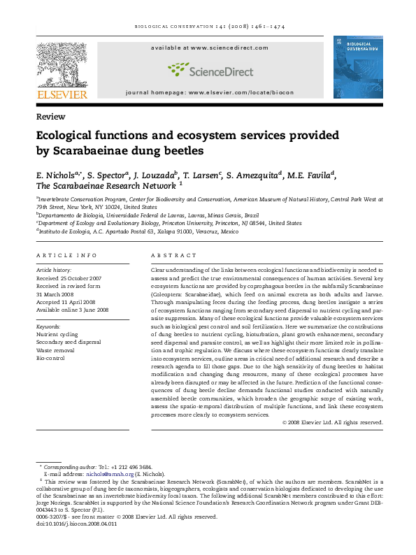 Essay by sandra nichols 07 picture