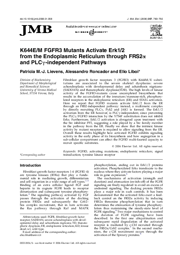(PDF) K644E/M FGFR3 Mutants Activate Erk1/2 from the Endoplasmic ...
