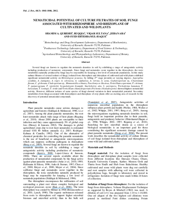 nematode-toxic fungi and their nematicidal metabolites