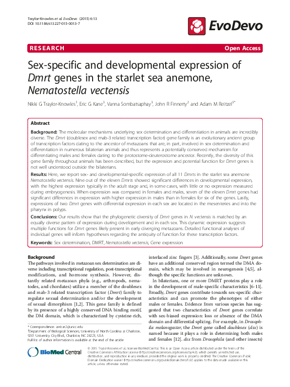 (PDF) Sex-specific and developmental expression of Dmrt genes in the ...