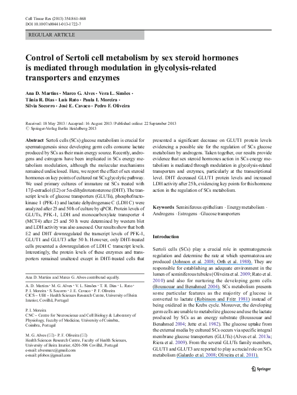 (PDF) Control of Sertoli cell metabolism by sex steroid hormones is ...