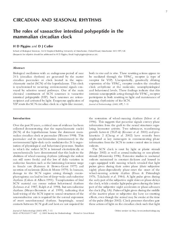 (PDF) The roles of vasoactive intestinal polypeptide in the mammalian ...
