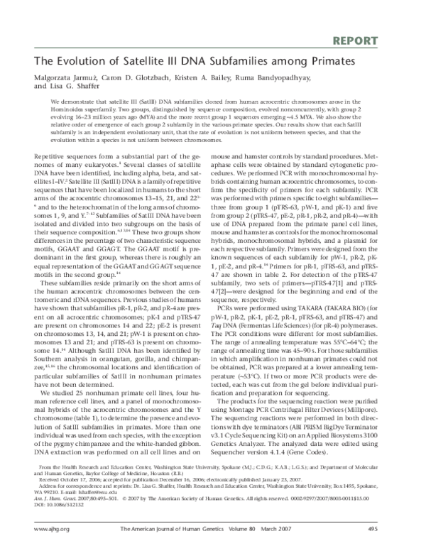 (PDF) The Evolution of Satellite III DNA Subfamilies among Primates
