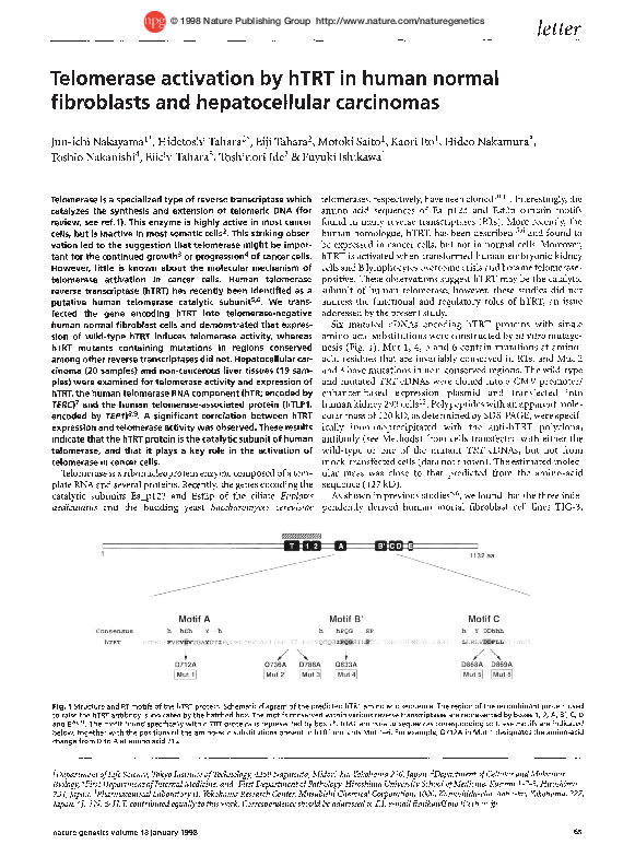 (PDF) Telomerase activation by hTRT in human normal fibroblasts and ...