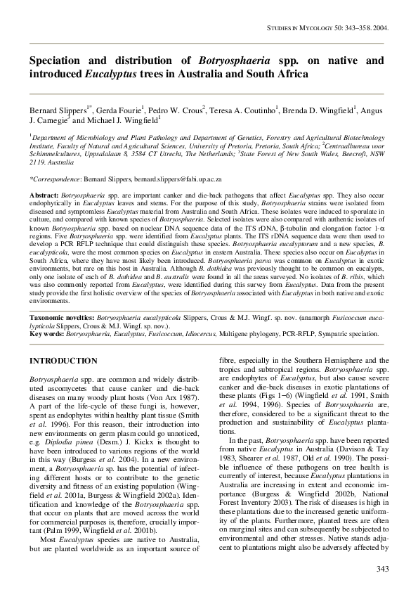 Types of eucalyptus picture