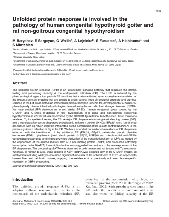 Unfolded protein response is involved in the pathology of human congenital hypothyroid goiter and rat non-goitrous congenital hypothyroidism
