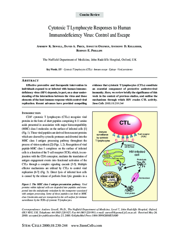 (PDF) Cytotoxic T Lymphocyte Responses to Human Immunodeficiency Virus ...