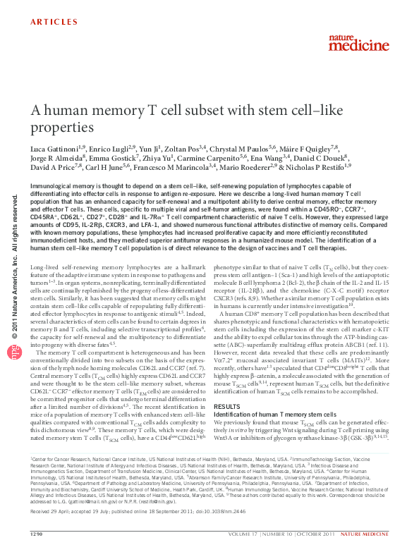 (PDF) A human memory T cell subset with stem cell–like properties