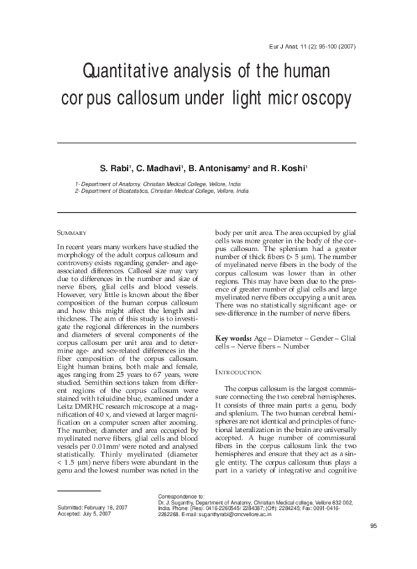 (PDF) Quantitative analysis of the human corpus callosum under light ...