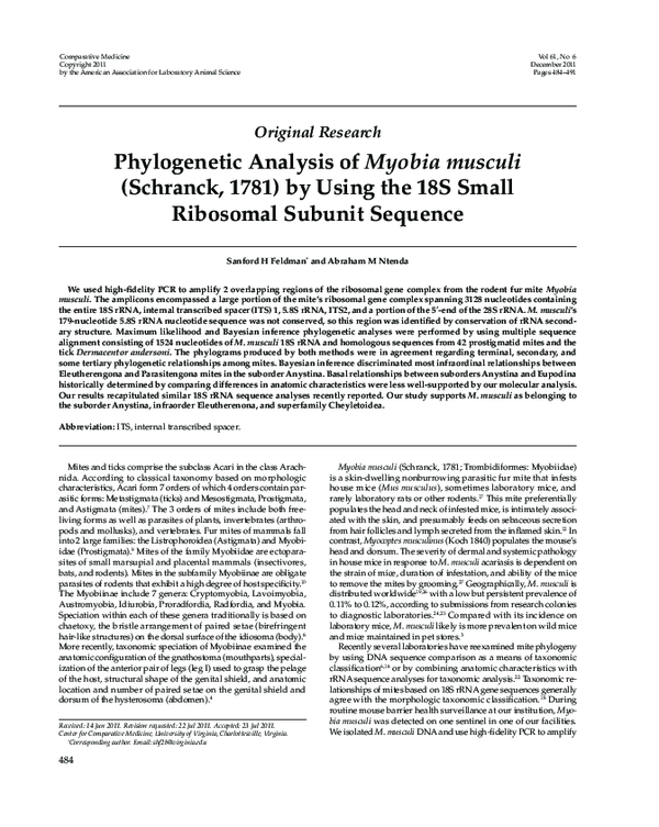 (PDF) Phylogenetic analysis of Myobia musculi (Schranck, 1781) by using ...