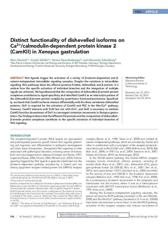 Thesis on calmodulin 03 image
