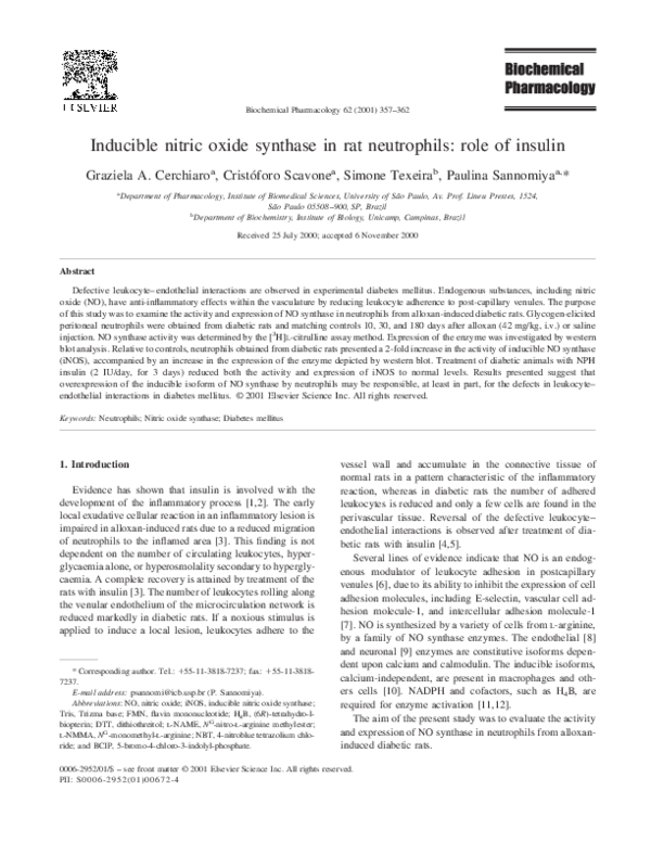 (PDF) Inducible nitric oxide synthase in rat neutrophils: role of insulin