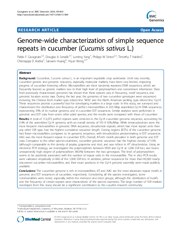 5 sentences about cucumber picture