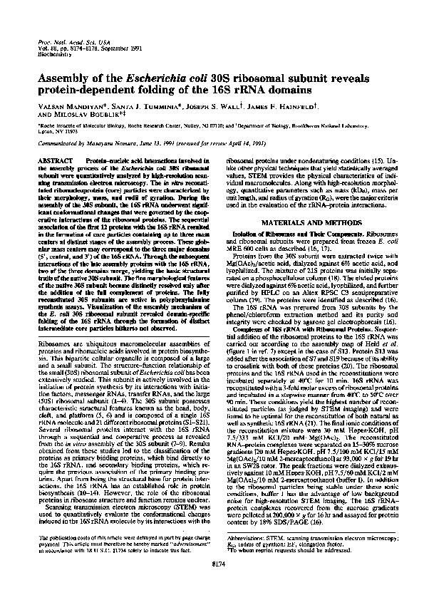 (PDF) Assembly of the Escherichia coli 30S ribosomal subunit reveals ...