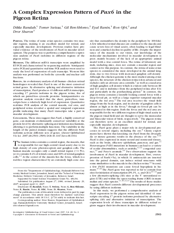 (PDF) A Complex Expression Pattern of Pax6 in the Pigeon Retina