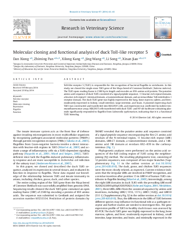 (PDF) Molecular cloning and functional analysis of Drosophila TAF110 ...
