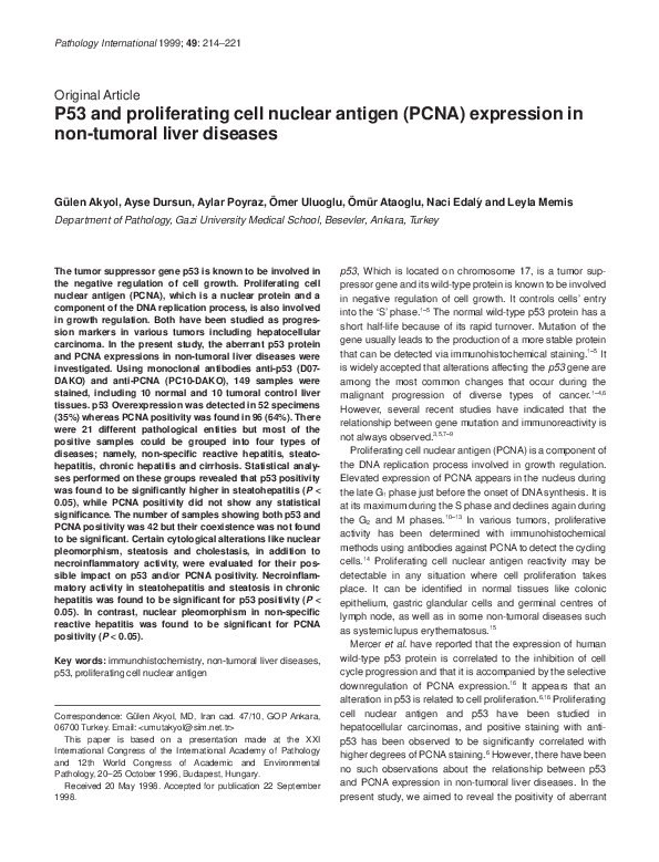 (PDF) P53 and proliferating cell nuclear antigen (PCNA) expression in ...