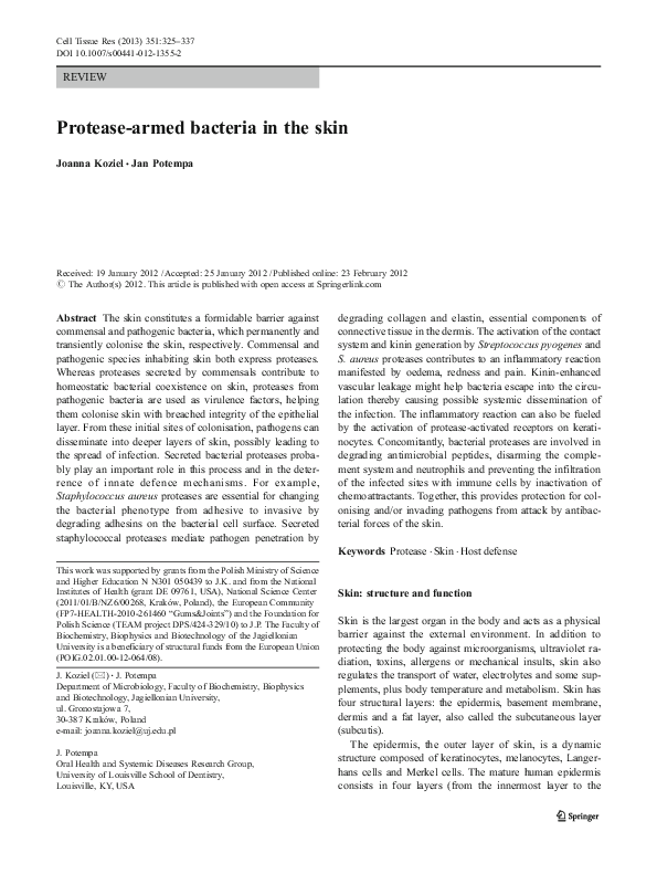 Protease production from bacteria image