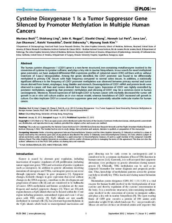 (PDF) Cysteine Dioxygenase 1 Is a Tumor Suppressor Gene Silenced by ...