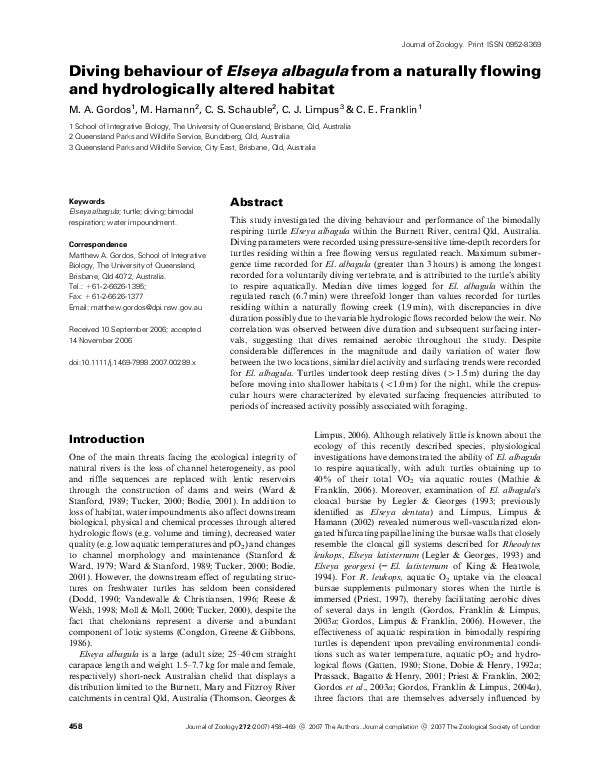 (PDF) Diving behaviour of Elseya albagula from a naturally flowing and ...