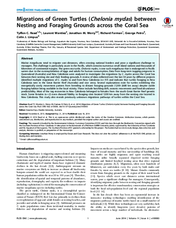 (PDF) Migrations of green turtles (Chelonia mydas) between nesting and ...