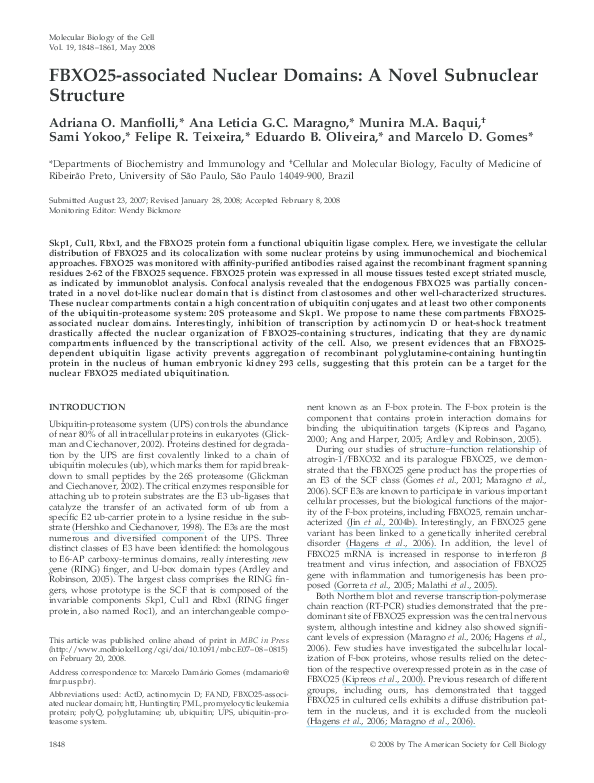 (PDF) FBXO25-associated Nuclear Domains: A Novel Subnuclear Structure