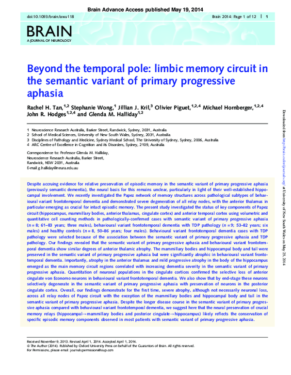 (PDF) Beyond the temporal pole: limbic memory circuit in the semantic ...