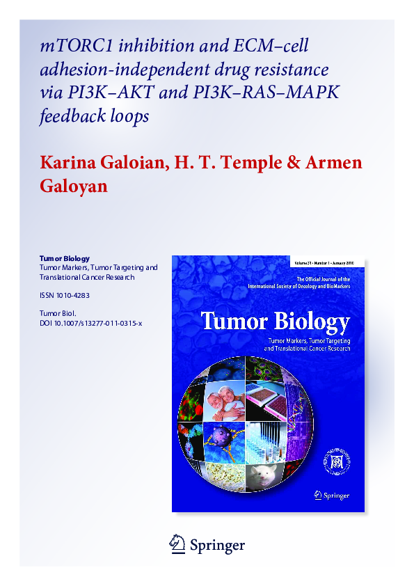 (PDF) mTORC1 inhibition and ECM–cell adhesion-independent drug ...