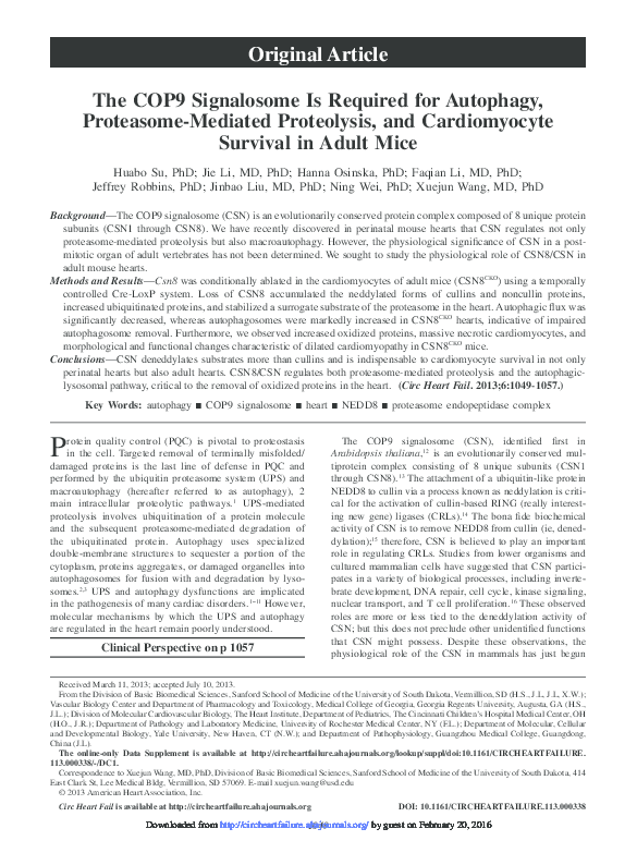 (PDF) The COP9 signalosome is required for autophagy, proteasome ...