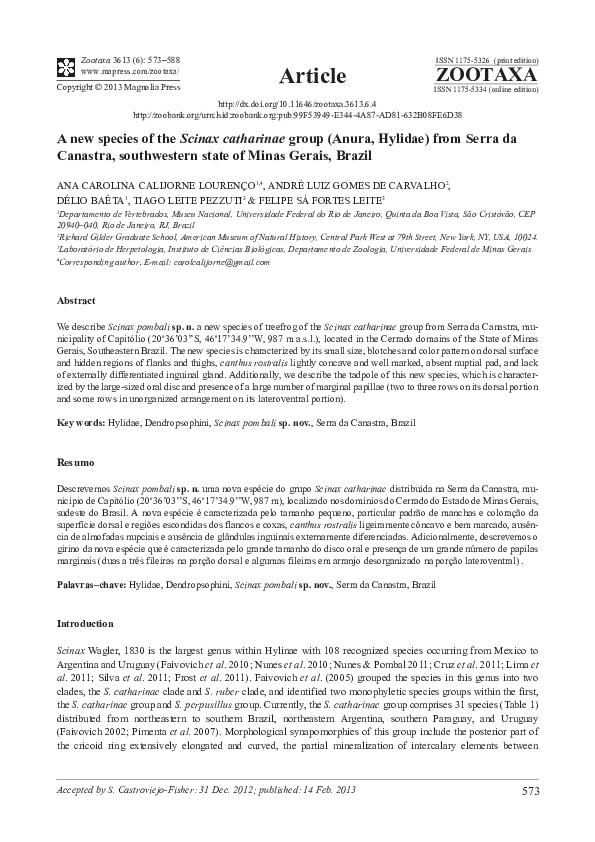 A new species of the Scinax catharinae Group (Anura Hylidae) from