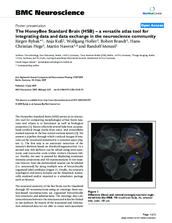 (PDF) The HoneyBee Standard Brain (HSB) – a versatile atlas tool for ...