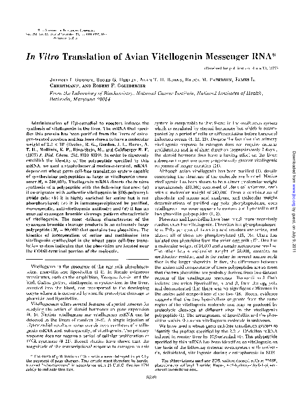(PDF) In vitro translation of avian vitellogenin messenger RNA