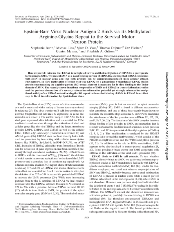 (PDF) Epstein-Barr Virus Nuclear Antigen 2 Binds via Its Methylated ...