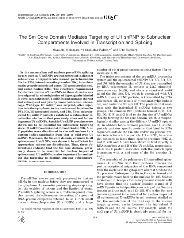 (PDF) The Sm Core Domain Mediates Targeting of U1 snRNP to Subnuclear ...