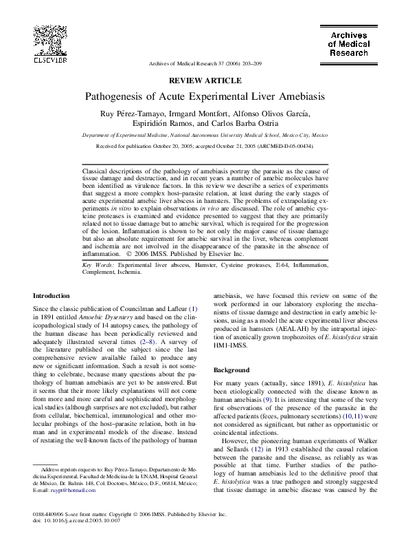 Amoebiasis prevention image