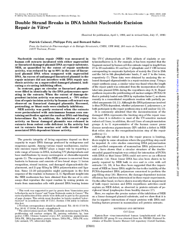 (PDF) Double Strand Breaks in DNA Inhibit Nucleotide Excision Repair in ...