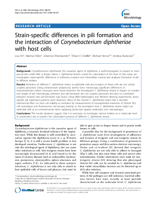 Diphtheria essays 04 image