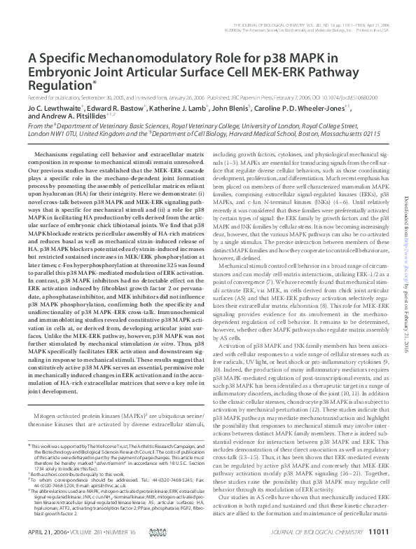 (PDF) A Specific Mechanomodulatory Role for p38 MAPK in Embryonic Joint ...