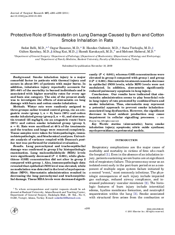 (PDF) Protective role of simvastatin on lung damage caused by burn and ...