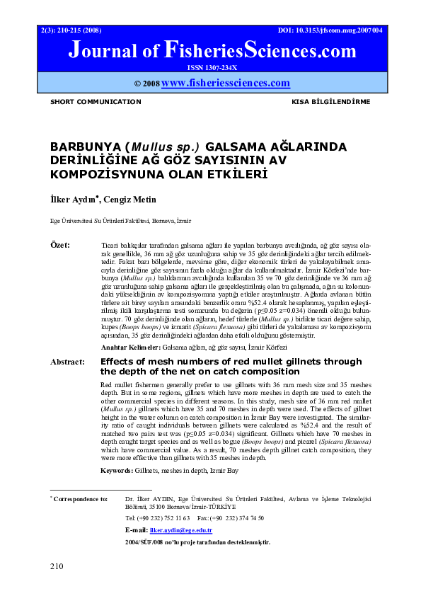 Essay uzatma 06 picture