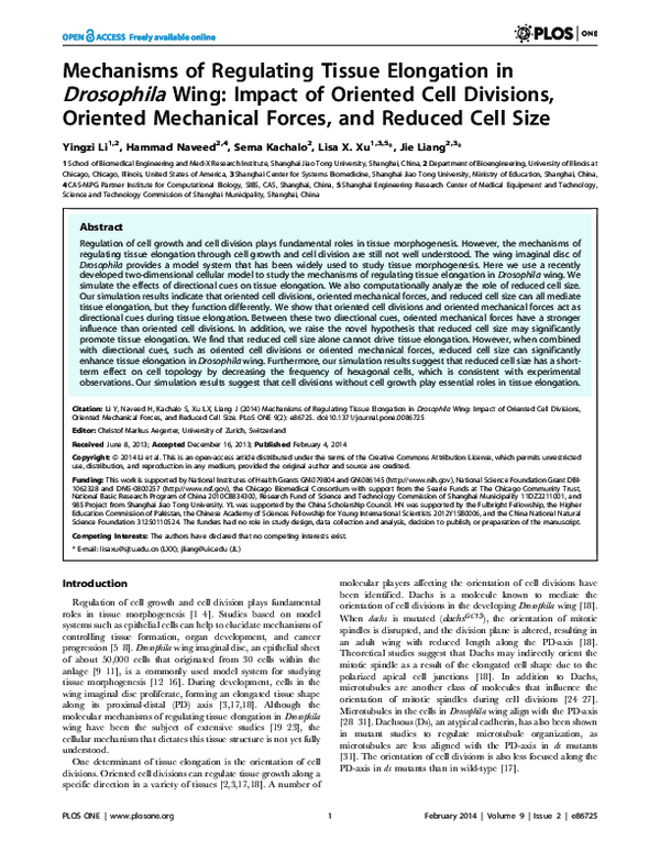 (PDF) Mechanisms of Regulating Tissue Elongation in Drosophila Wing ...