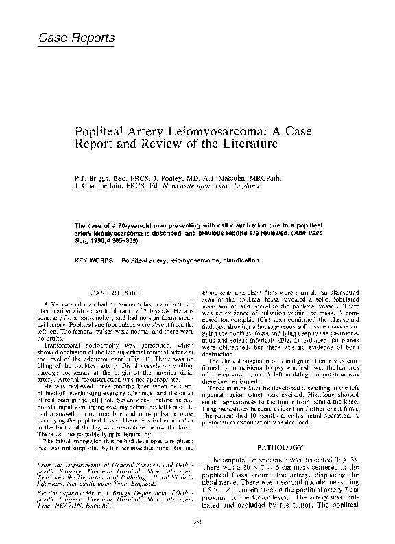 (PDF) Popliteal artery a case report and review of the
