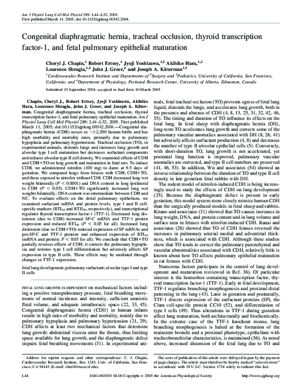(PDF) Congenital diaphragmatic hernia, tracheal occlusion, thyroid ...