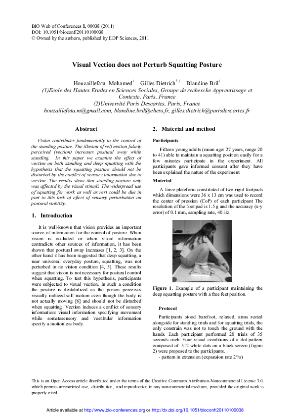 (PDF) Visual Vection does not Perturb Squatting Posture