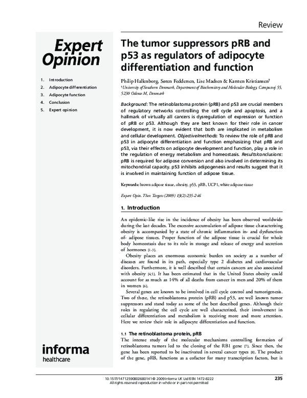 (PDF) The tumor suppressors pRB and p53 as regulators of adipocyte ...