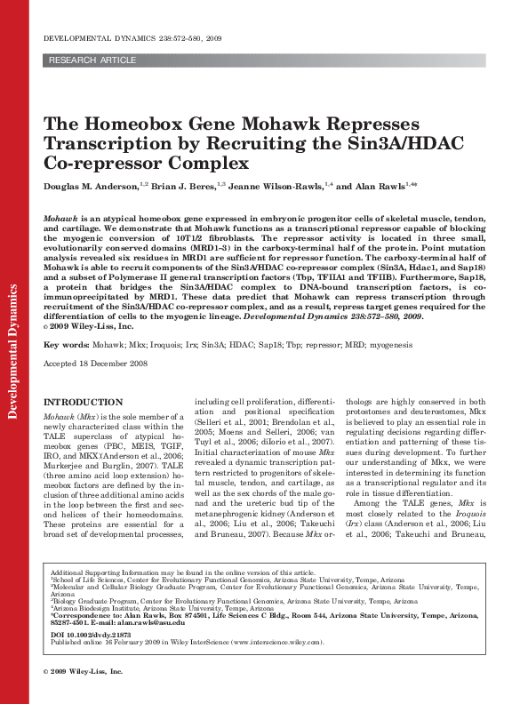 Jeanne wilson essay picture