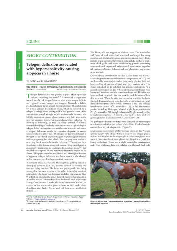 (PDF) Telogen defluxion associated with hypersensitivity causing