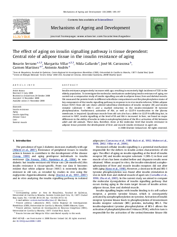 (PDF) The effect of aging on insulin signalling pathway is tissue ...