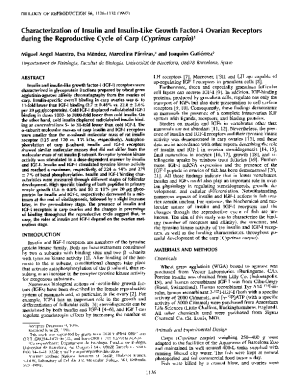 (PDF) Characterization of the insulin and insulin-like growth factor ...